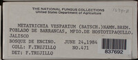 Image Associated With the Occurence